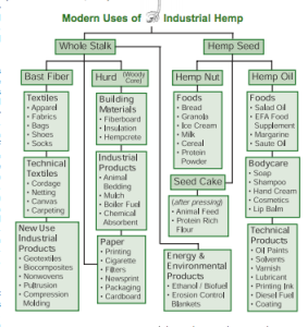 Hemp-1